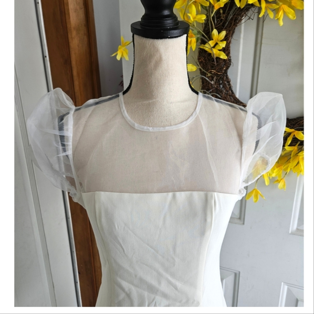 NWT LIKELY 'Fina' Puff Organza Sleeve Dress, Size 4 - Picture 5 of 13